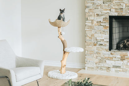 Cozy Cat Tree