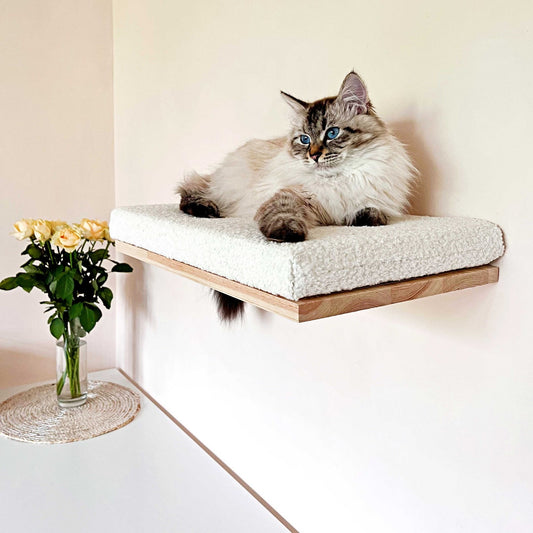 Cozy Cat Shelf