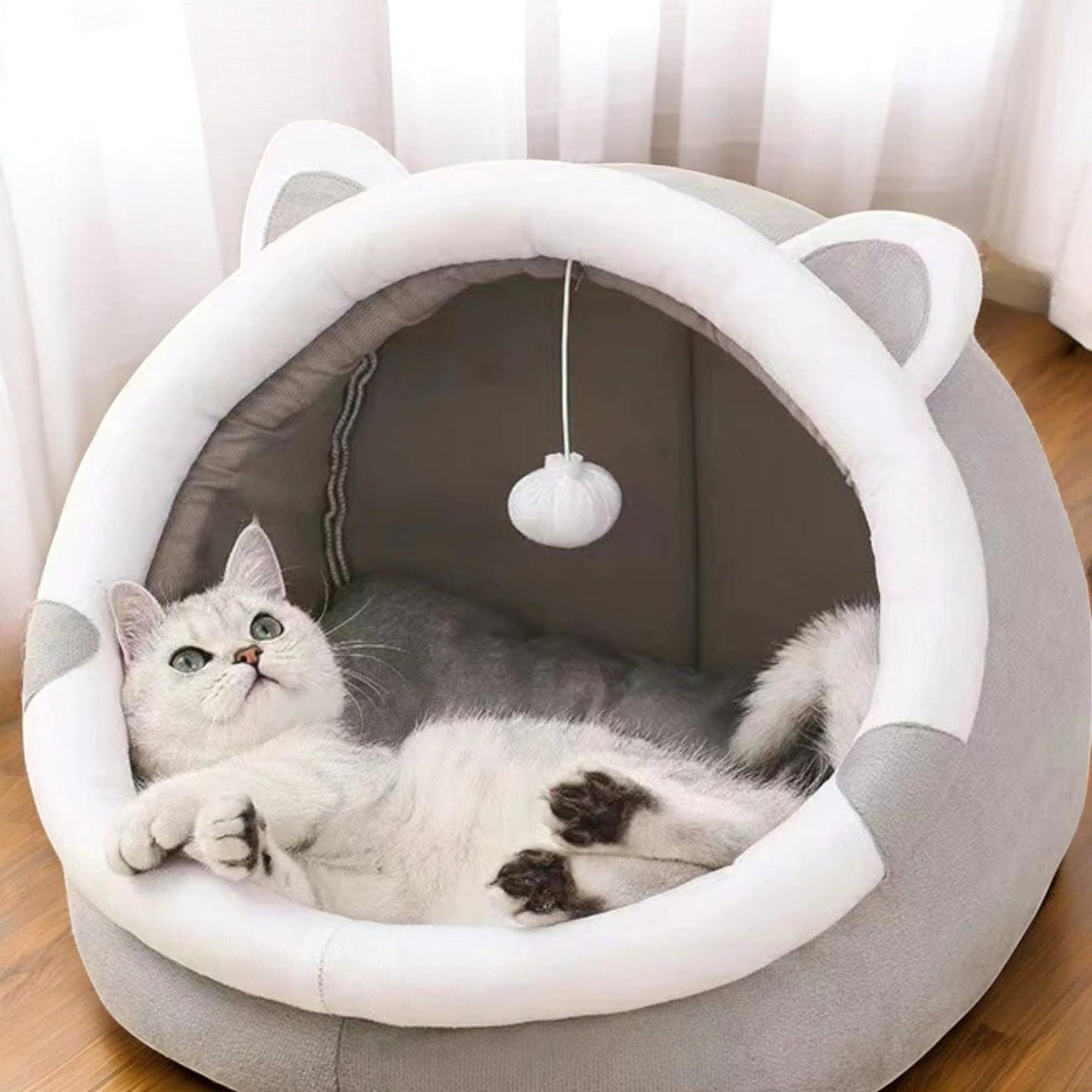 Cozy Igloo