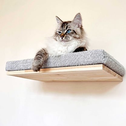 Cozy Cat Shelf