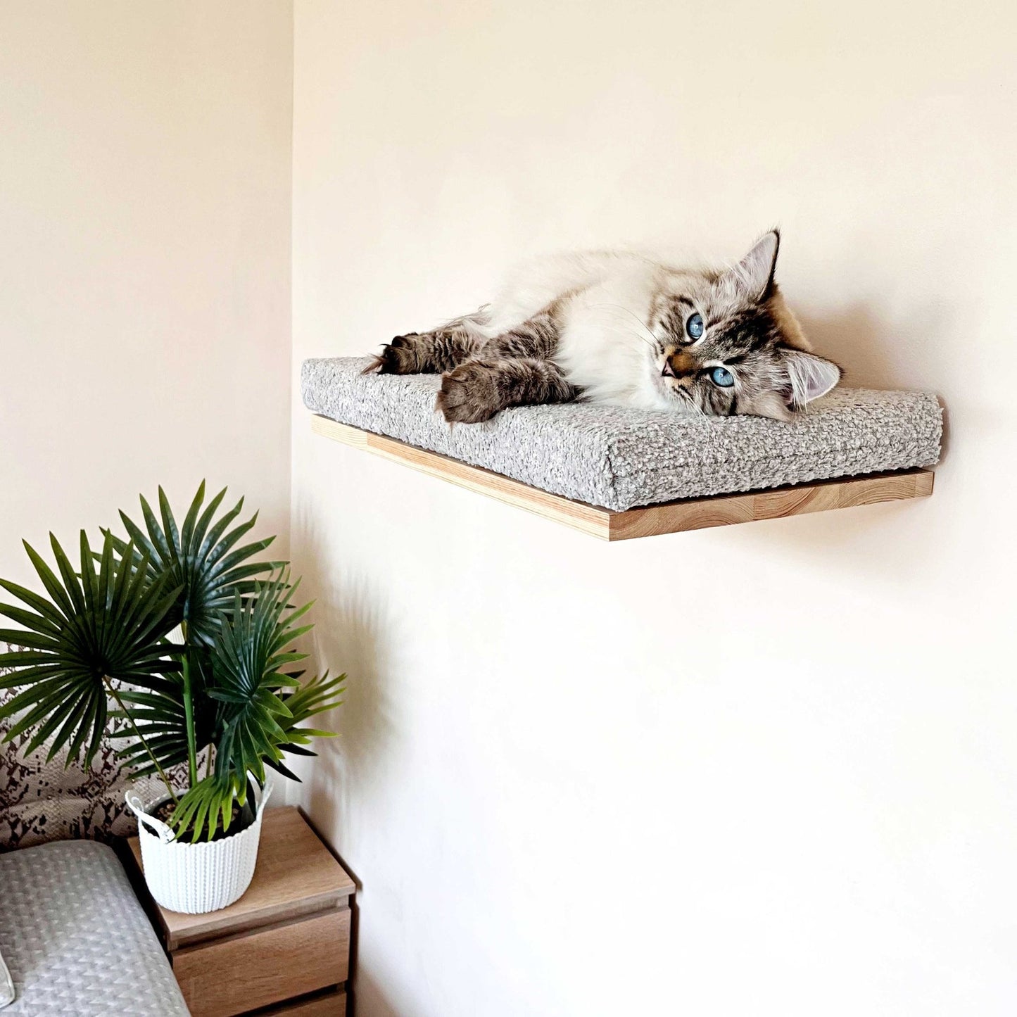 Cozy Cat Shelf