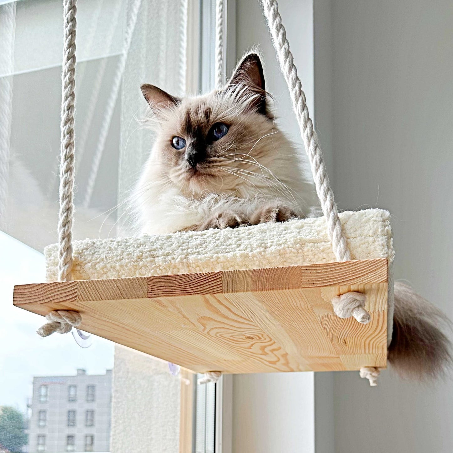 Cozy Cat Hammock