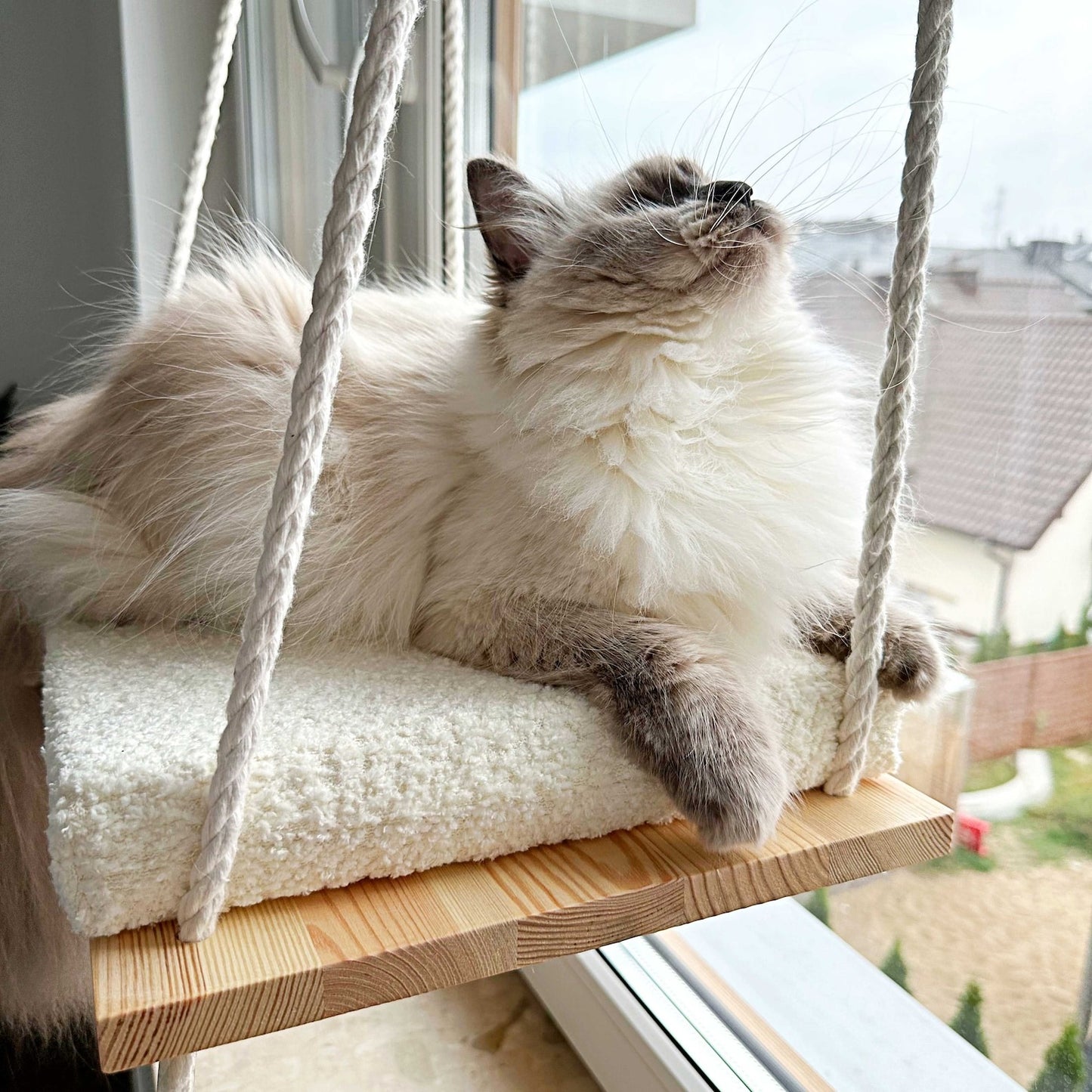 Cozy Cat Hammock