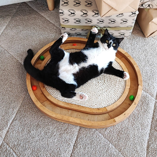 Cozy Cat Scratcher