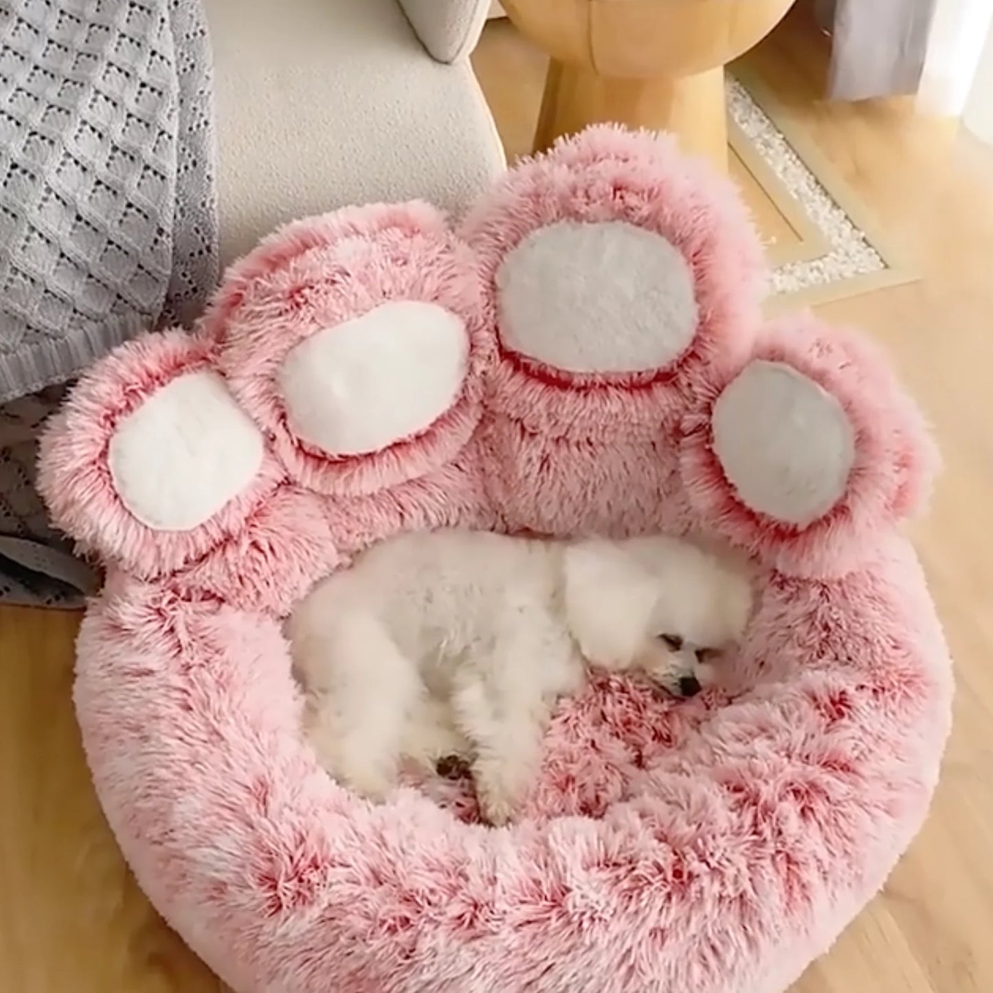 Paw Bed